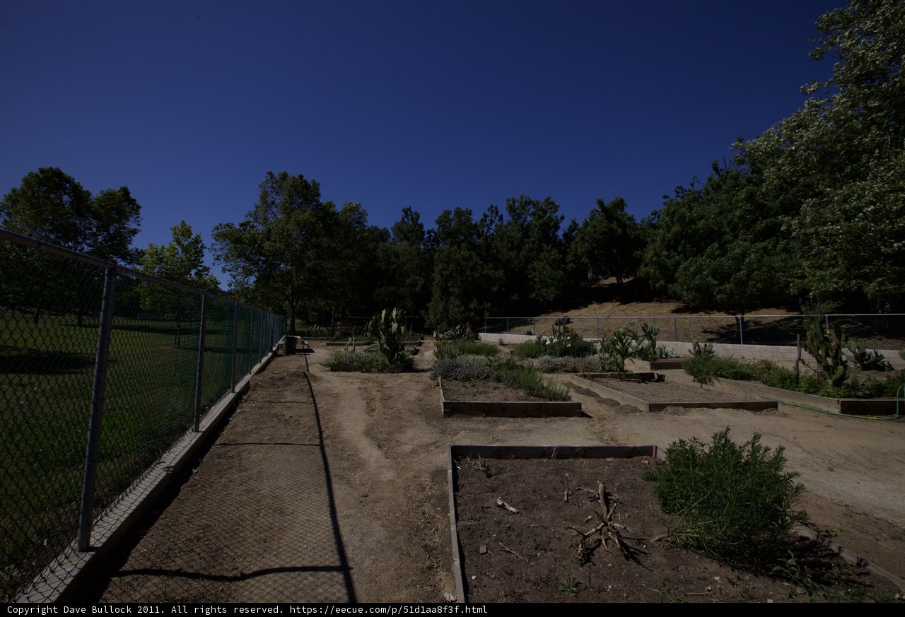 Garden Oasis