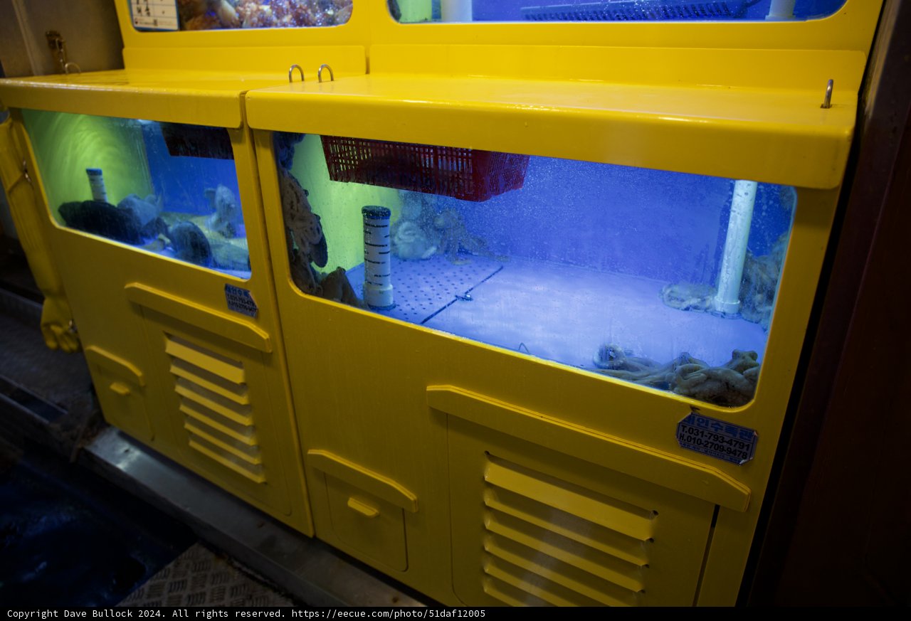 Aquatic Life Duo Display in Korea