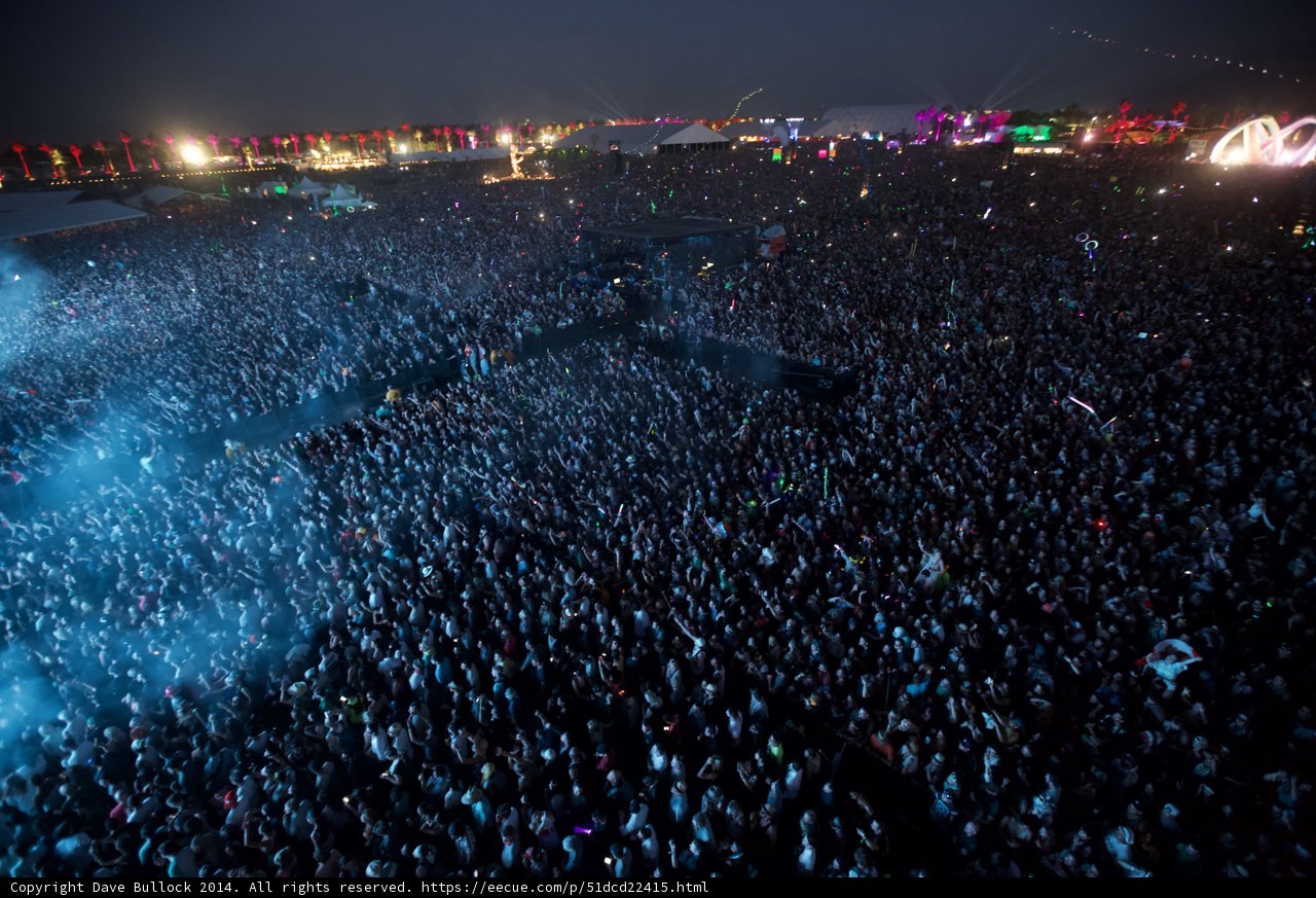 Music Festival Madness