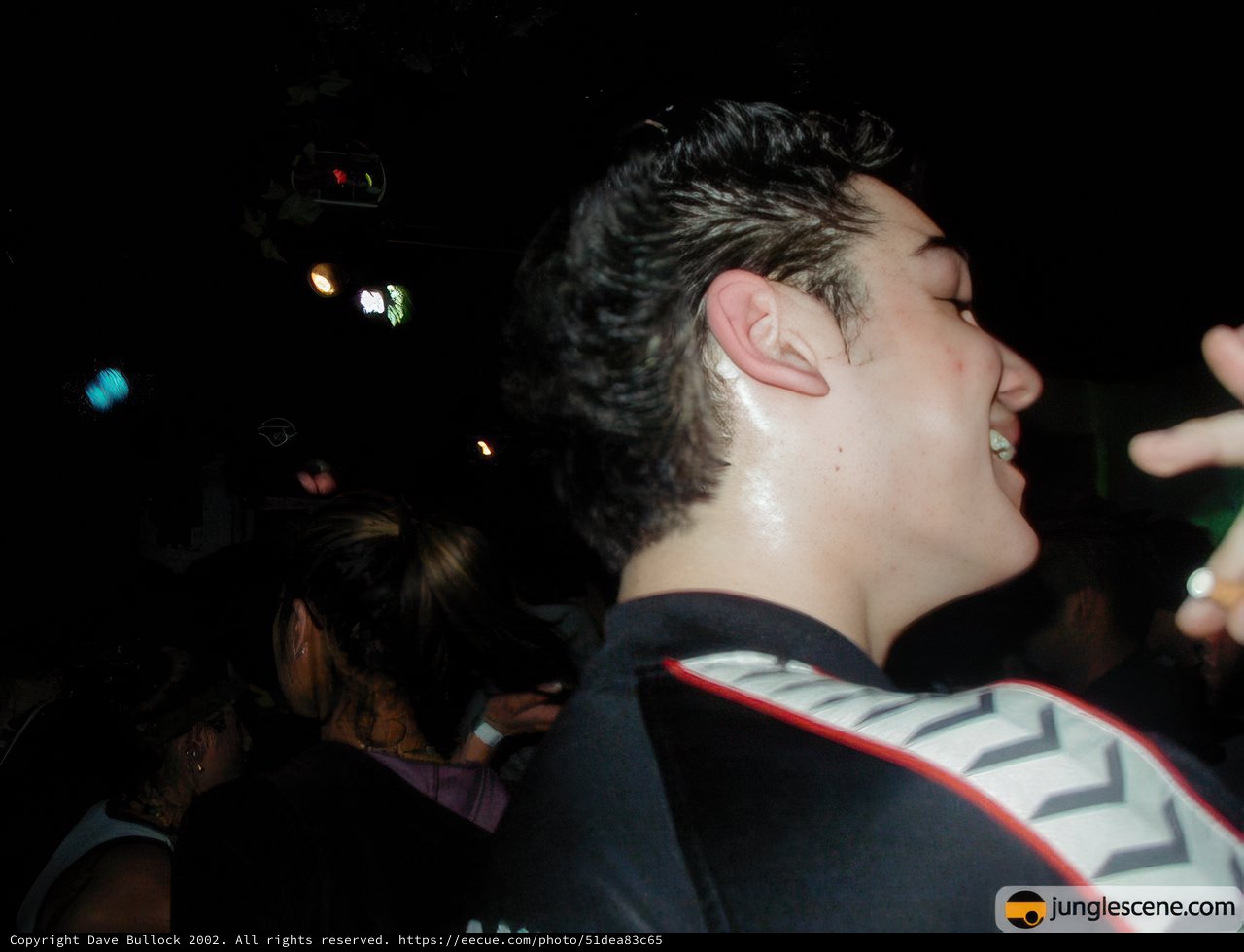 Nightclub Gathering