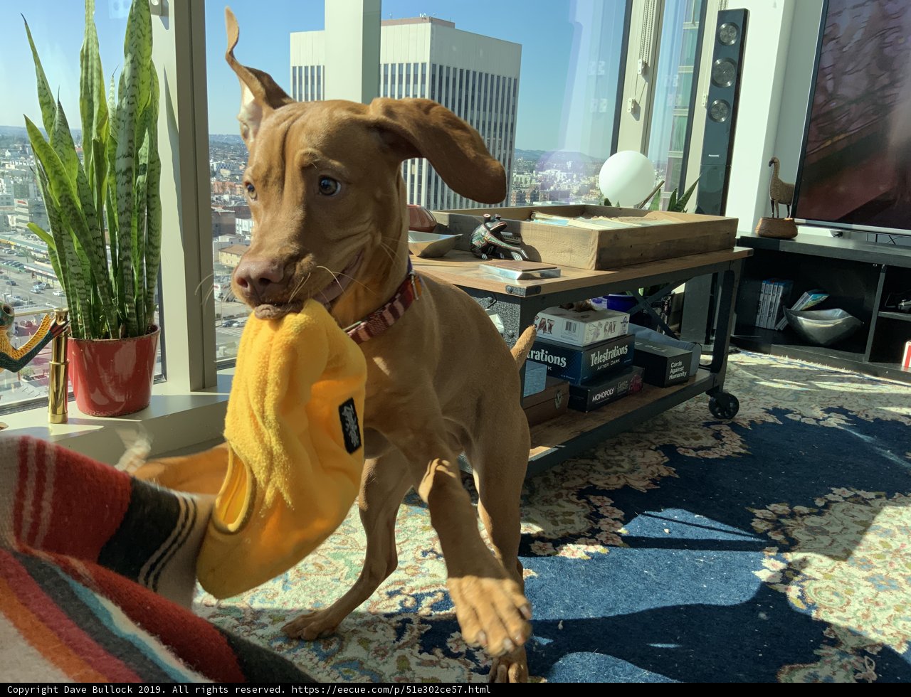 Playtime with a Yellow Object