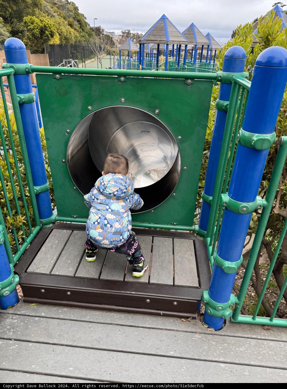 Adventurous Beginnings at the Park
