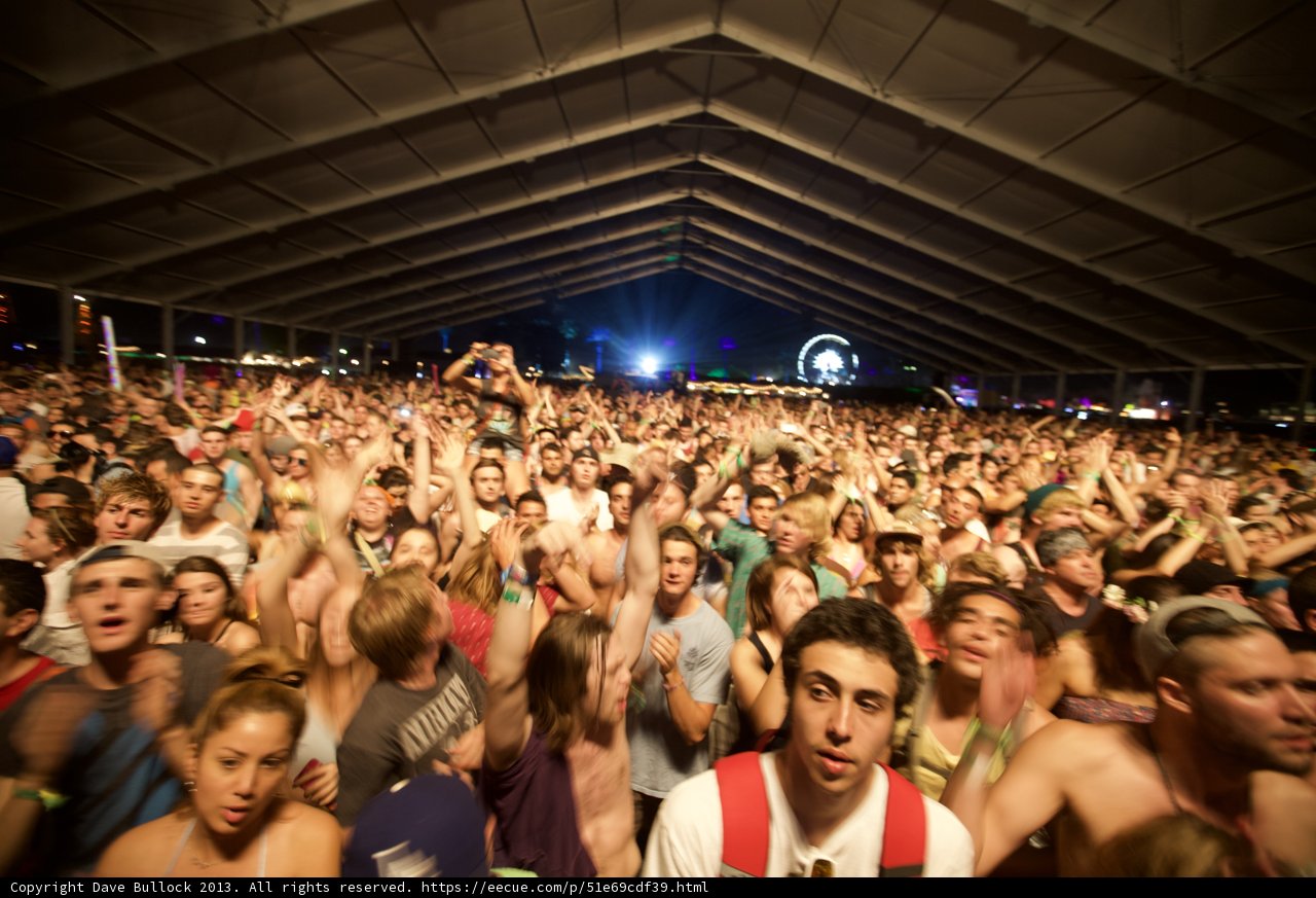 The Buzzing Crowd at Coachella