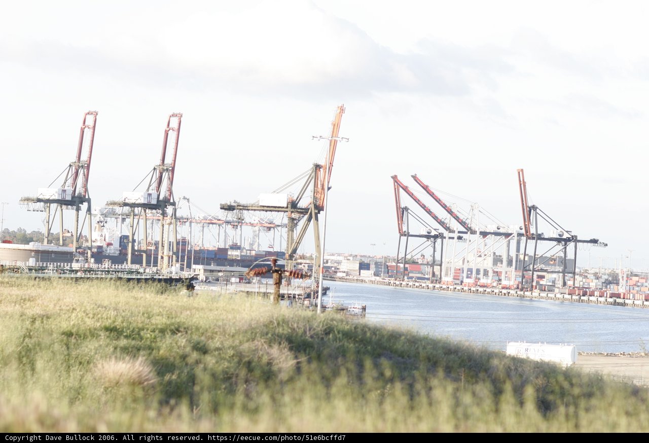 Hilltop View of the Harbor