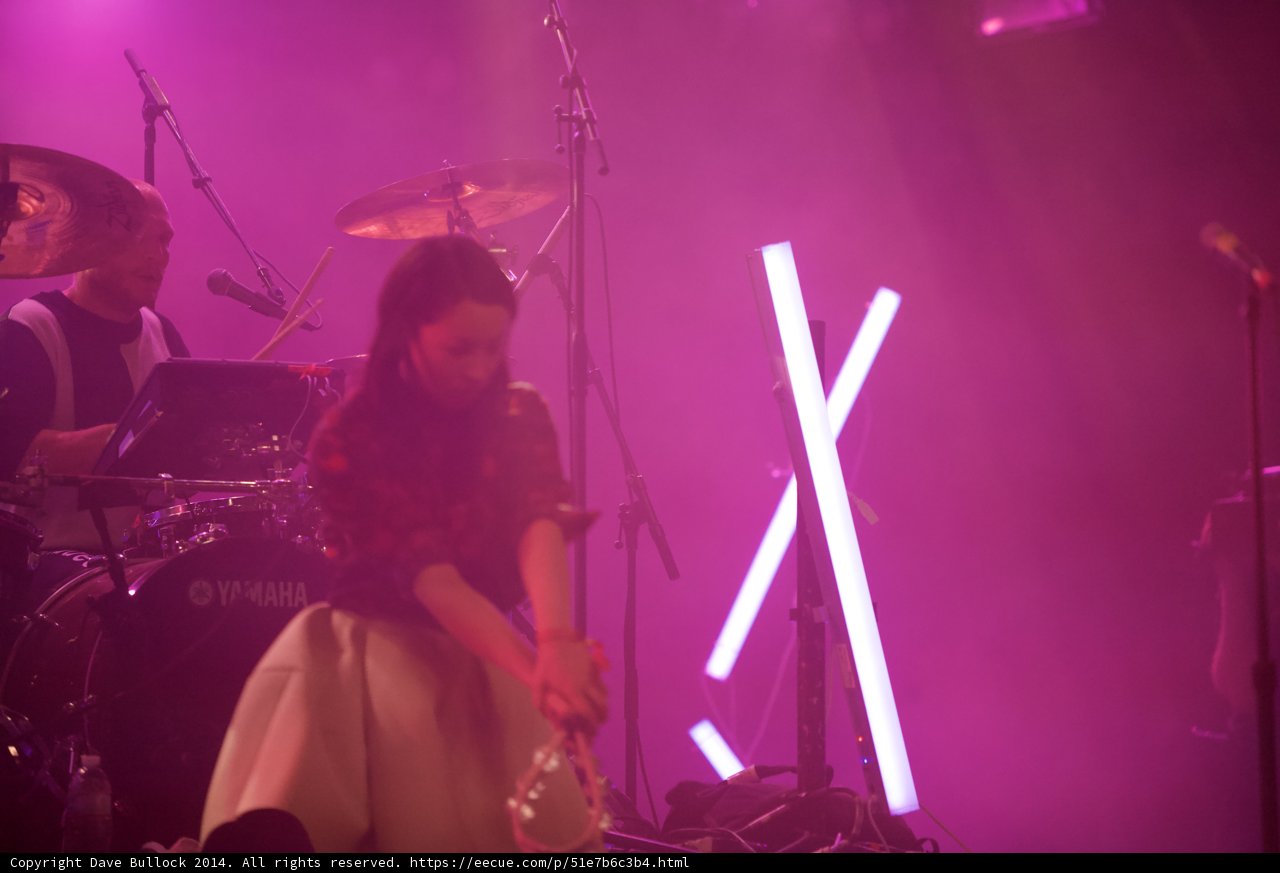Guitar Serenade at Coachella