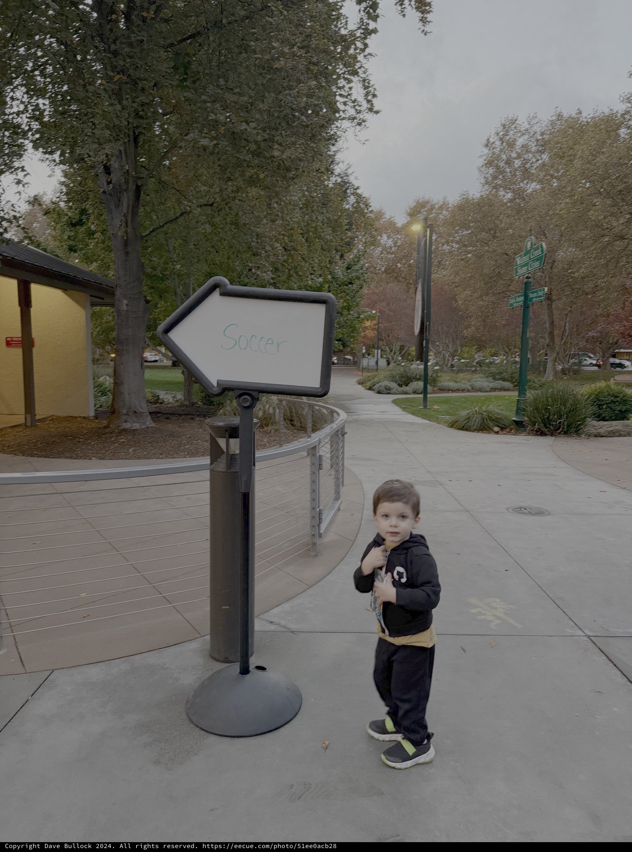 Child Poses by Arrow Sign Saying Sorry