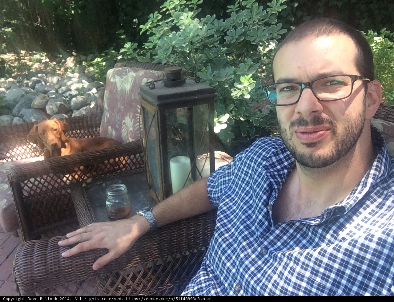 Man's Best Patio Companion