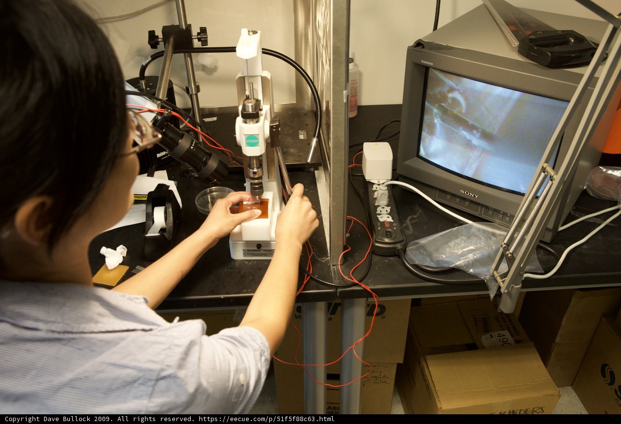 Working in the Lab