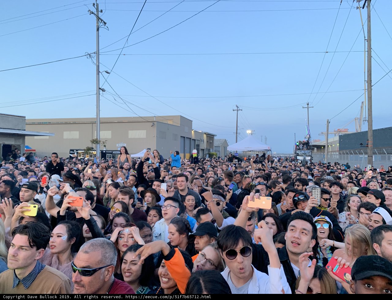 Festival Fever