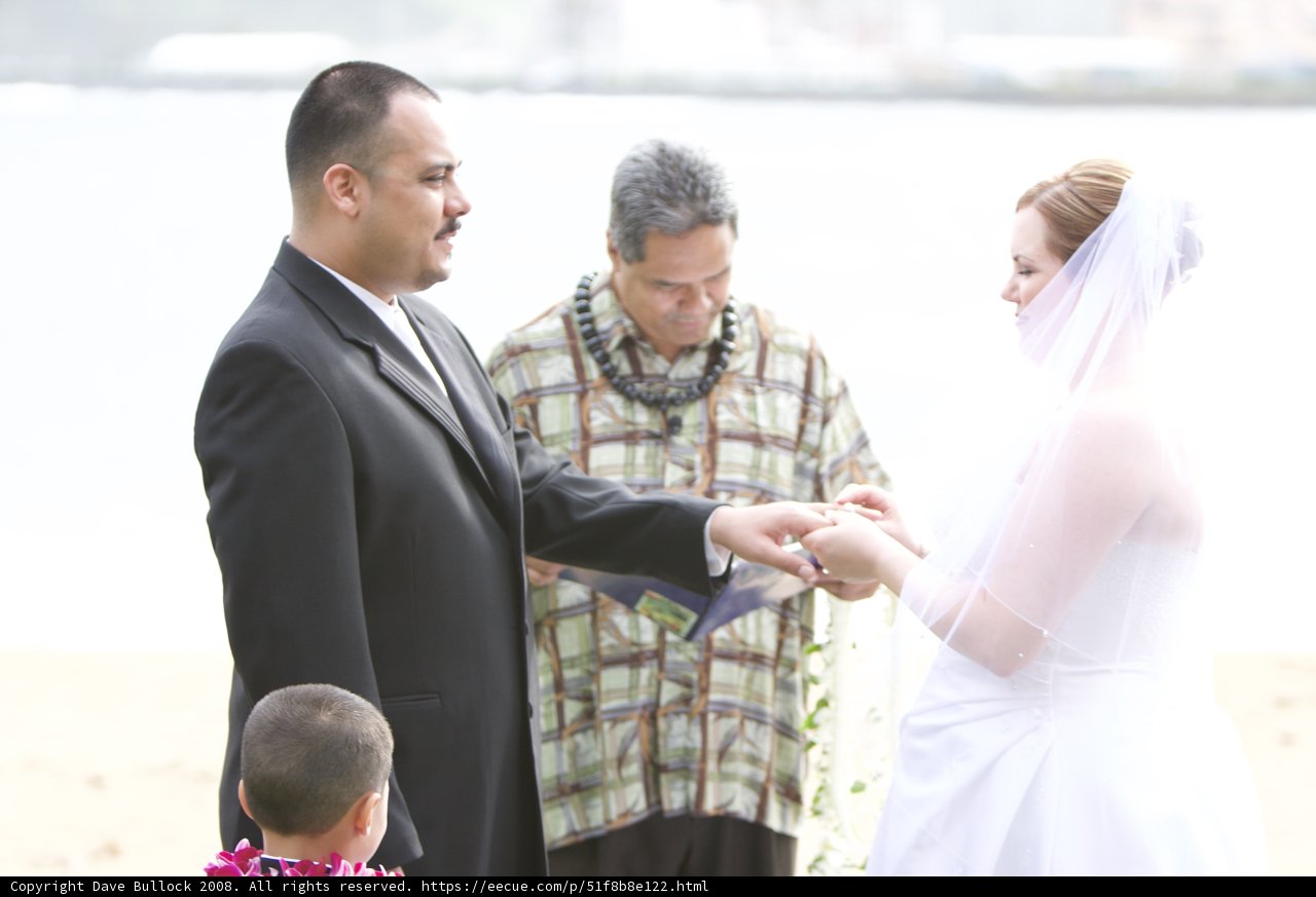 Beach Wedding Bliss