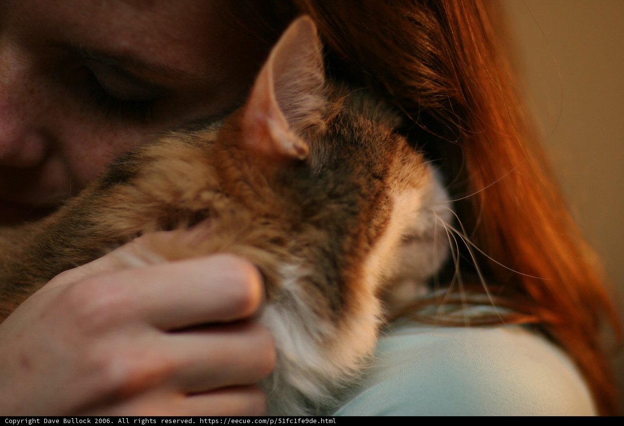A Woman and her Abyssinian Cat