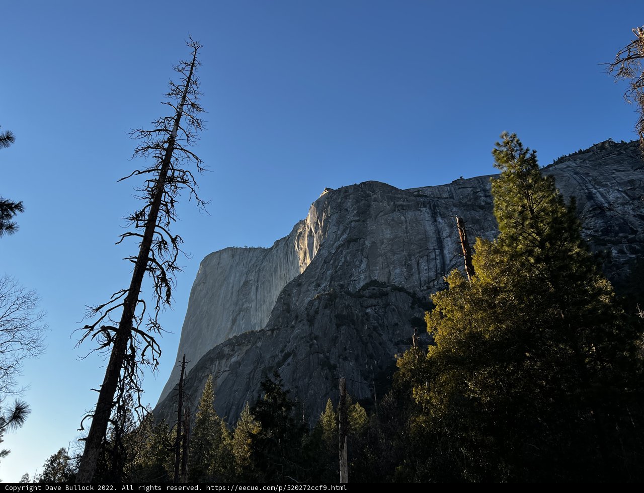 Half Dome stands tall amidst the mountain range