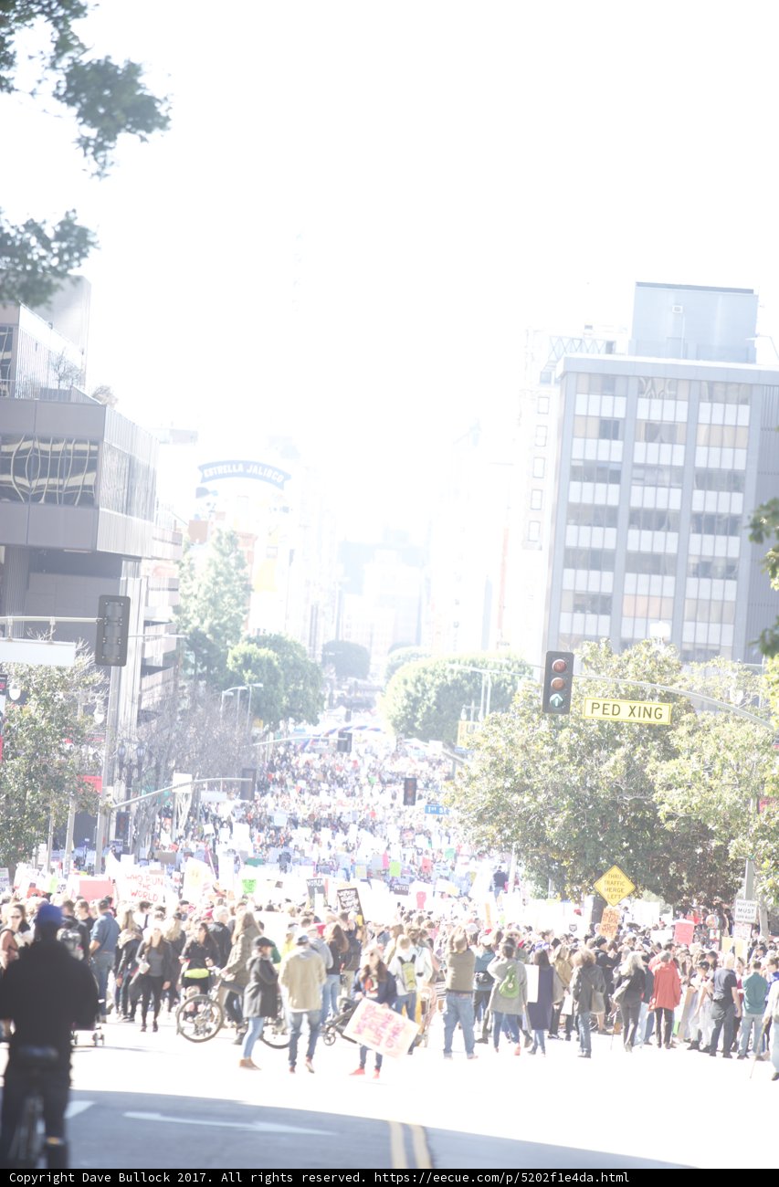 March for Women's Rights in Metropolis