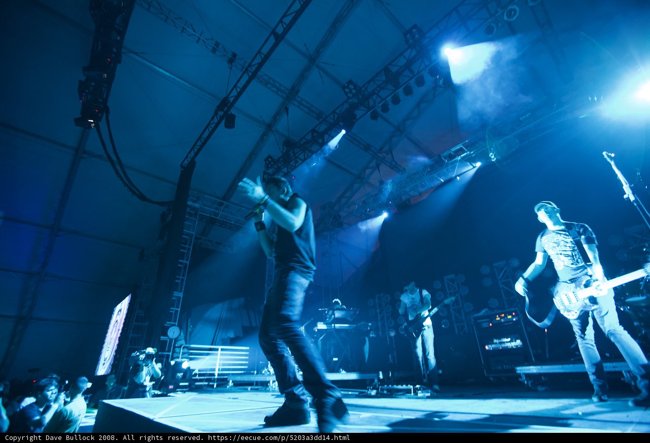 The Rocking Set at Coachella