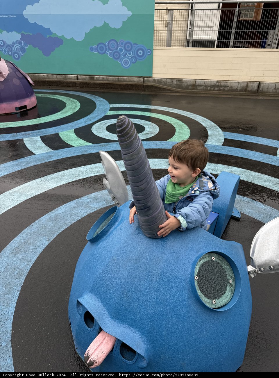 Wesley's Great Whale Adventure