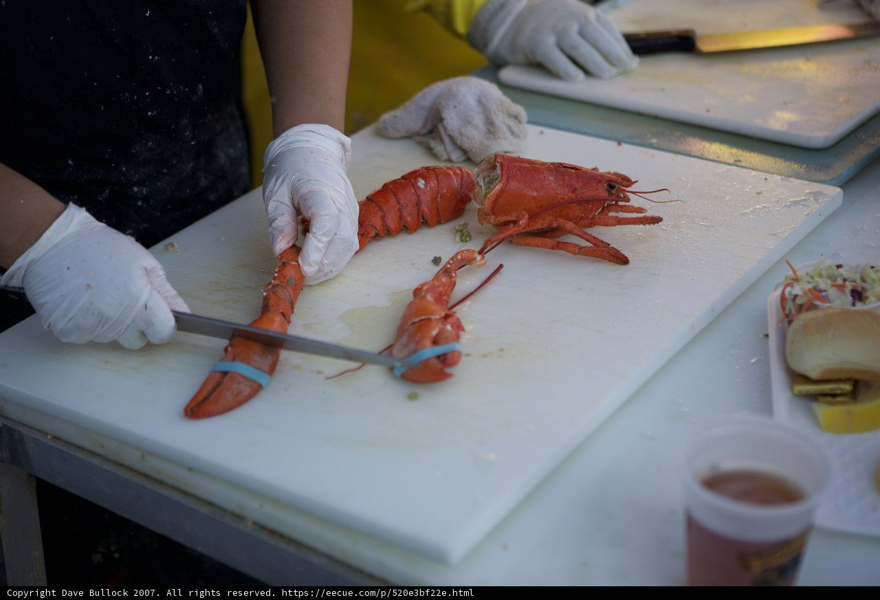 Lobster Fest Feast