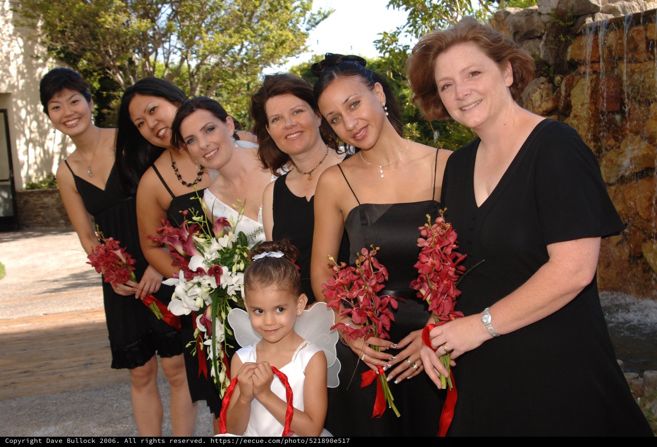Bridesmaids in Black with Flower Girl Angel