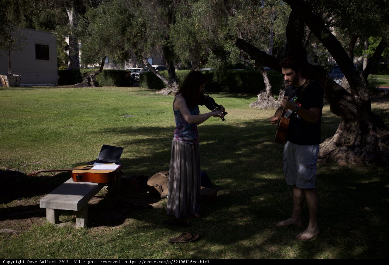 Music in the Park