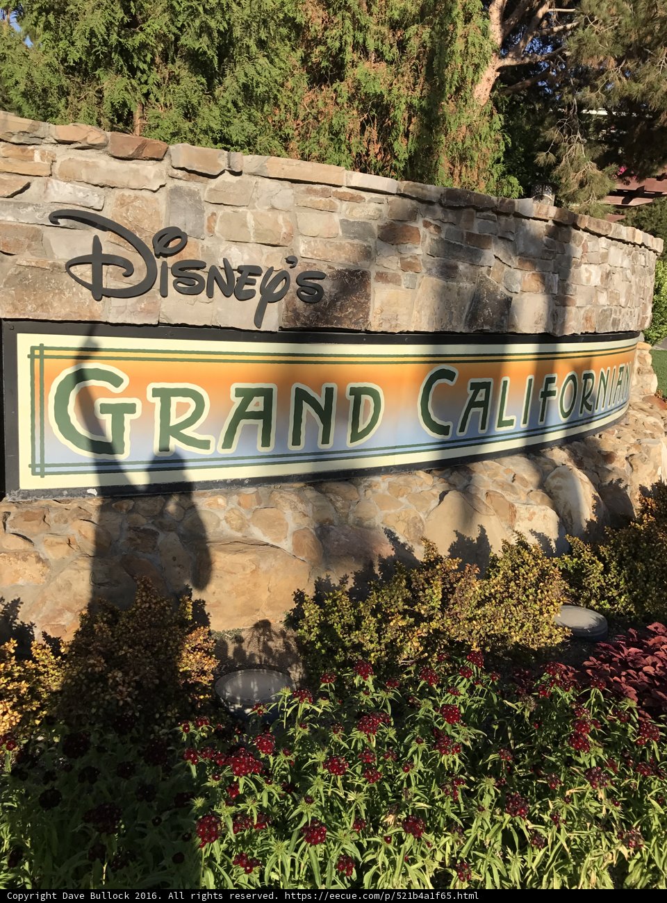 Disney's Grand California Resort: A Natural Oasis