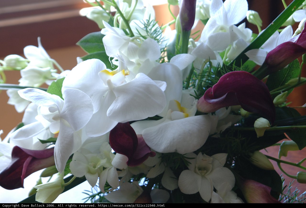 Elegant Wedding Bouquet