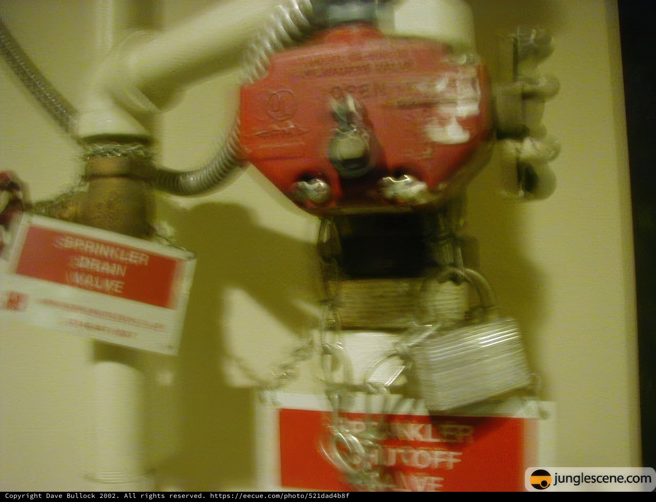 The Bold Red Fire Hydrant