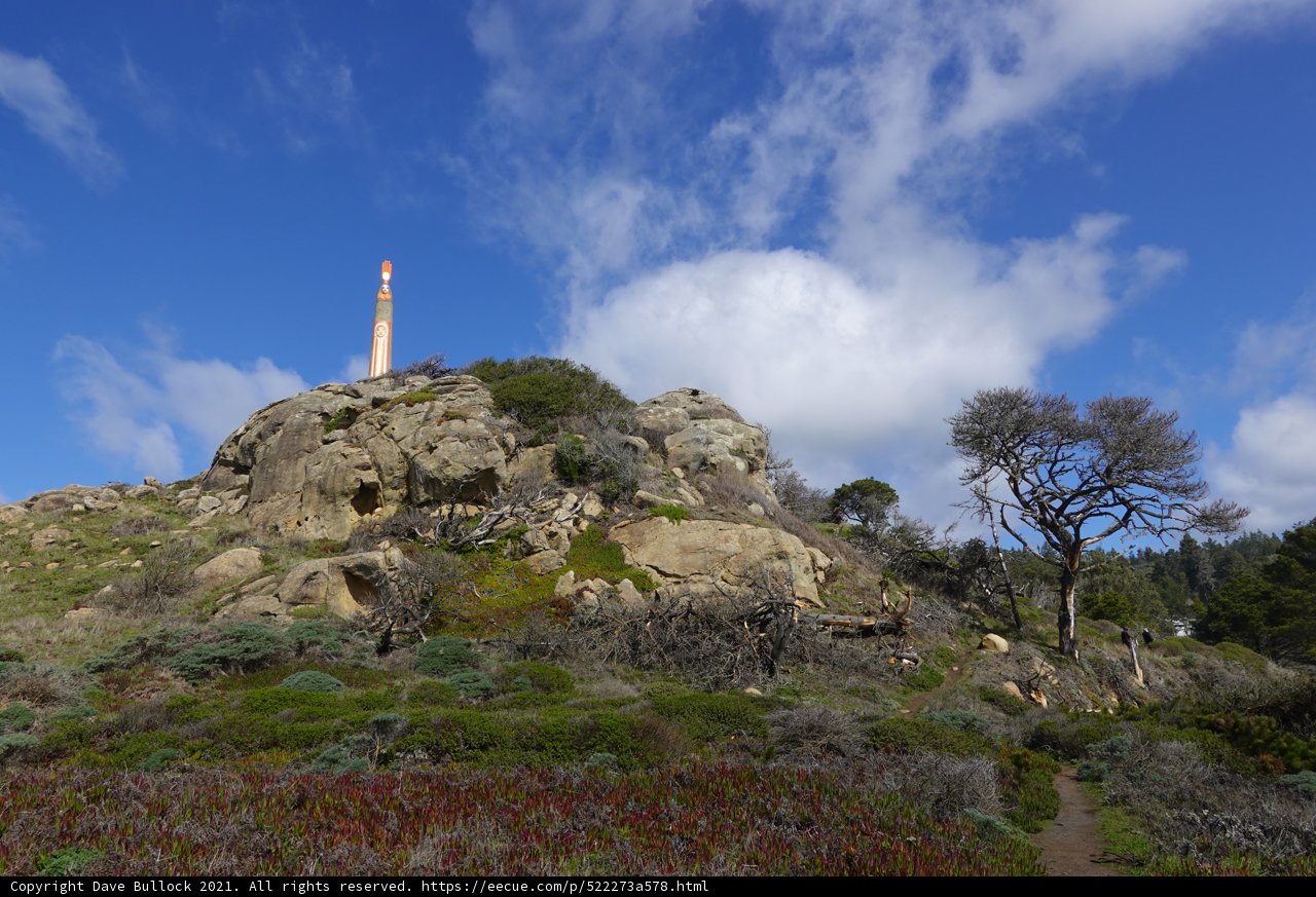 Towering Over the Grasslands