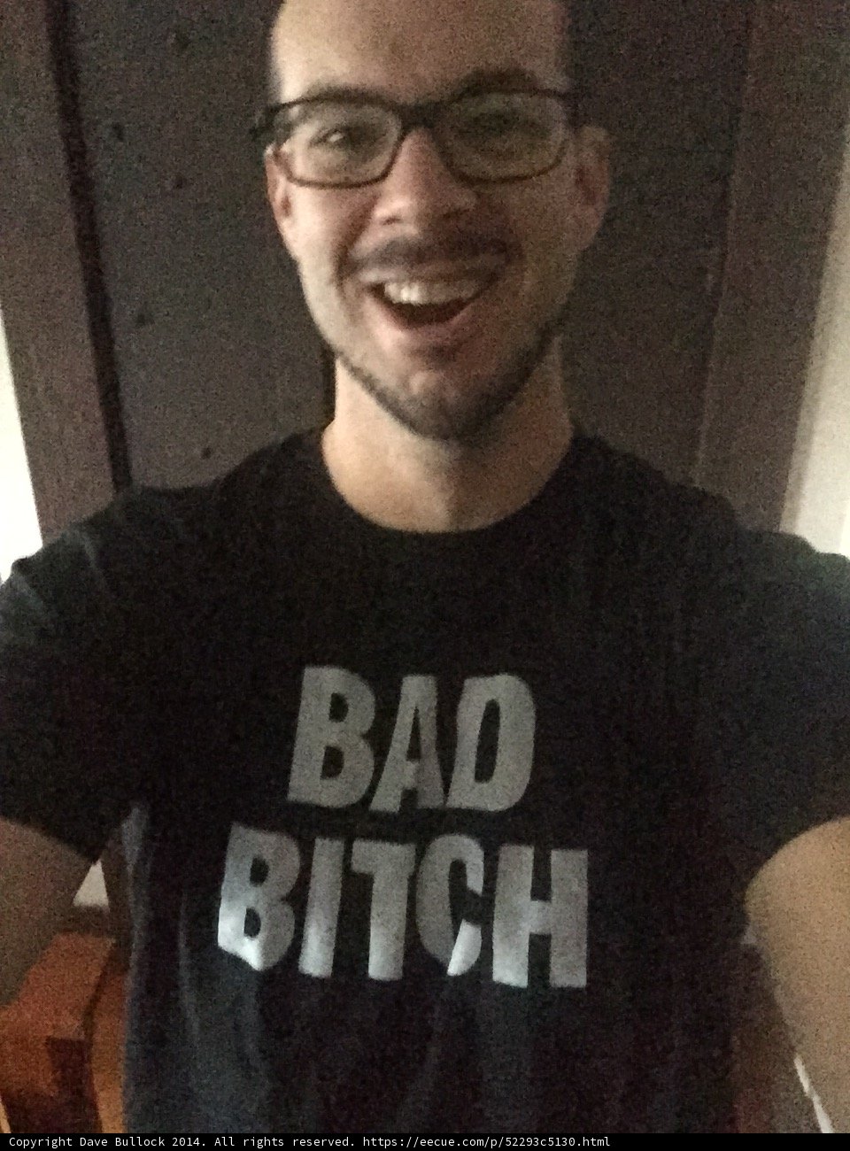 The Bad Bitch Chronicles