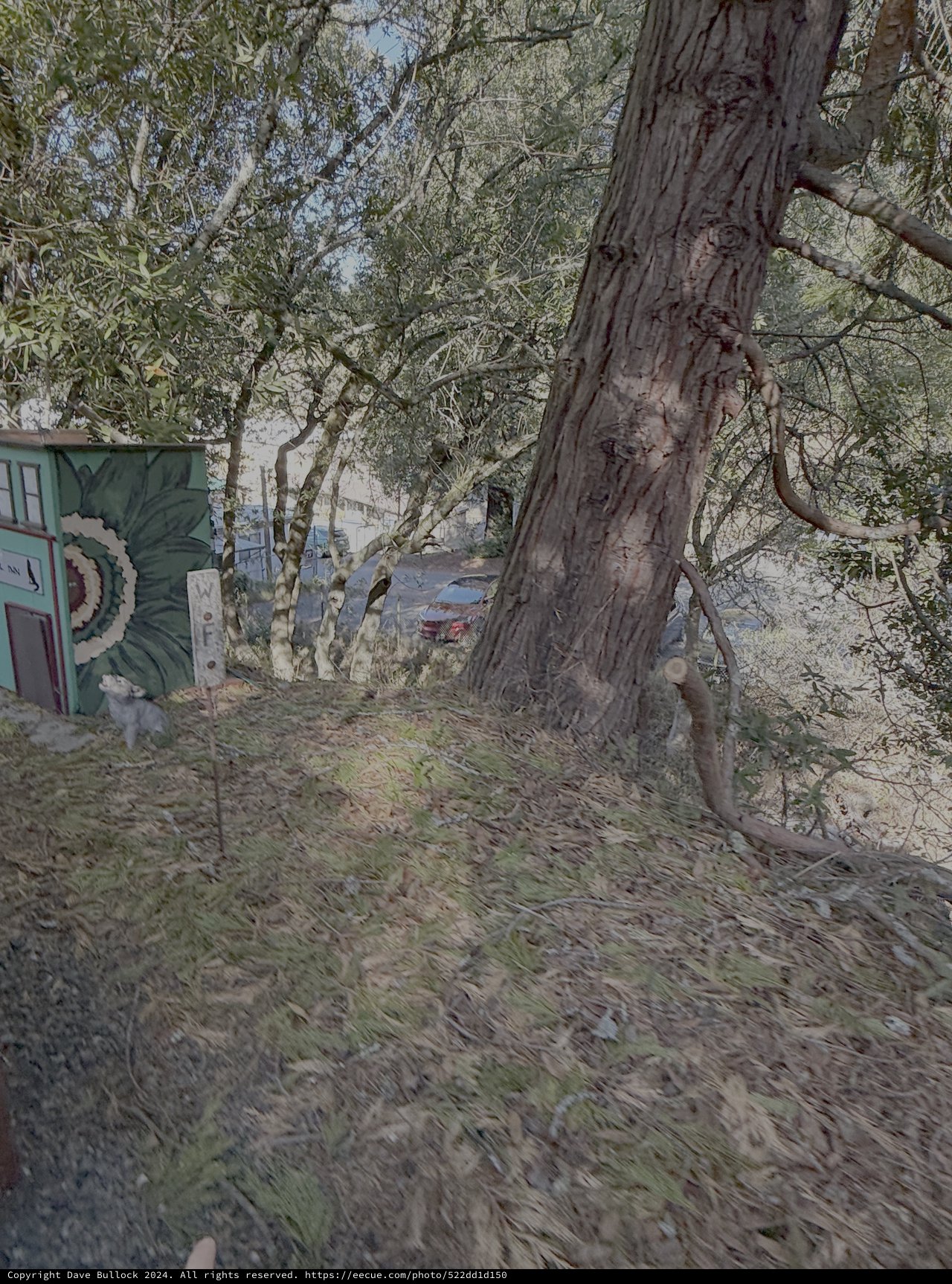 Urban Nature Trail with Street Art