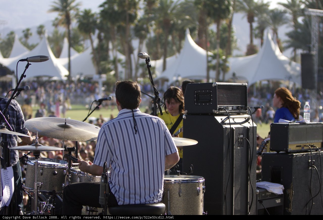 Musical Bliss Under the Palm Trees