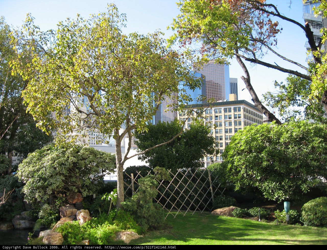 A Peaceful Moment in the Park