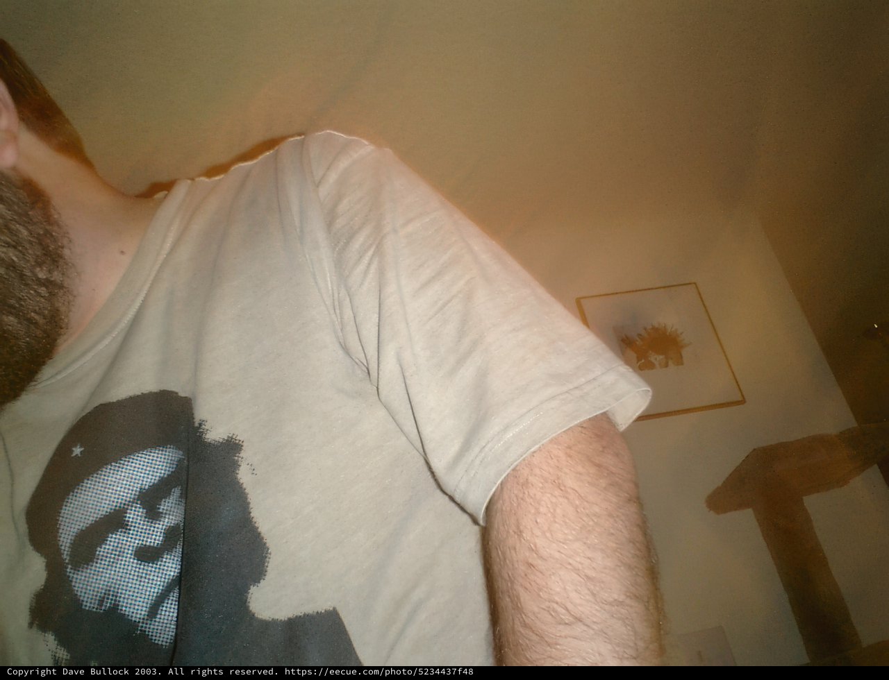 Casual Man in T-Shirt