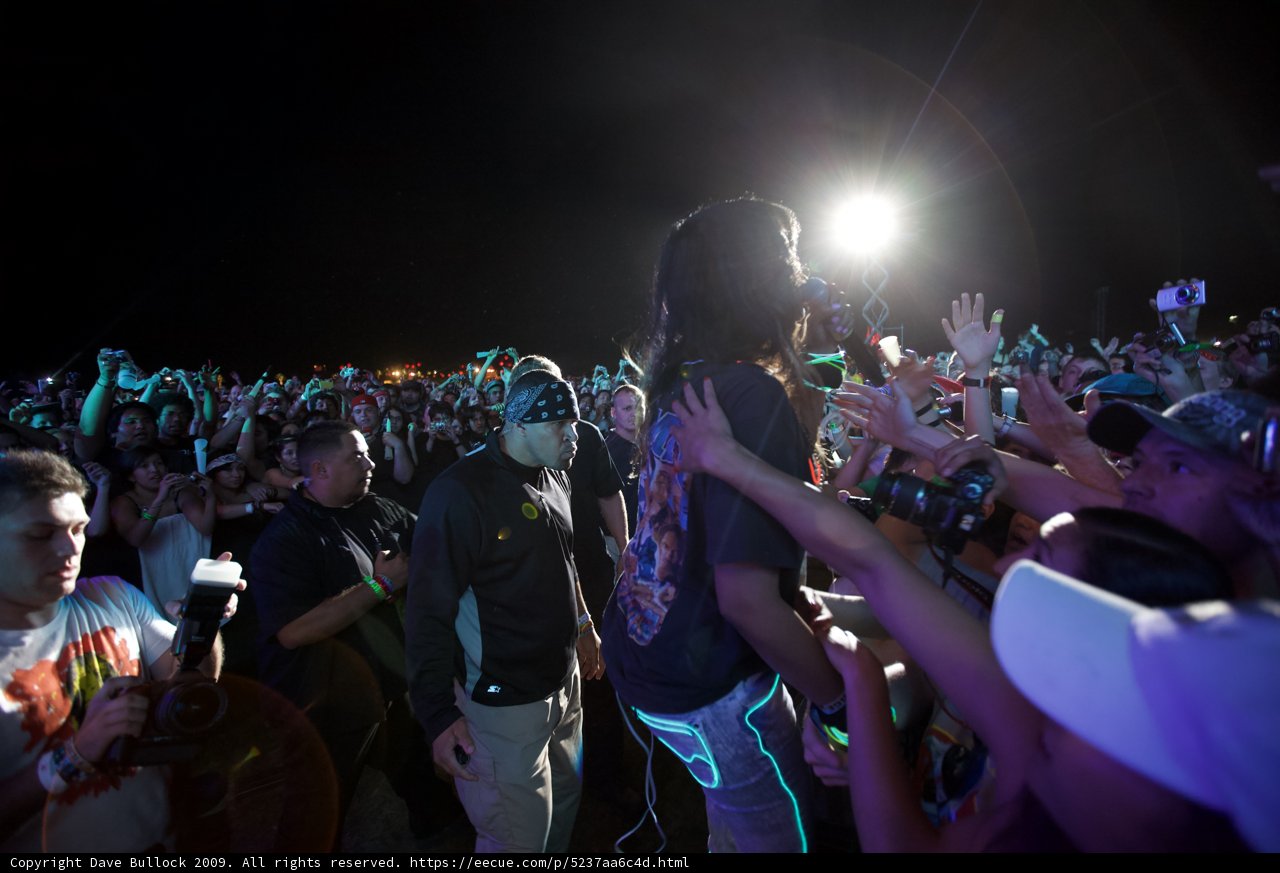 Masked Man in Coachella Crowd