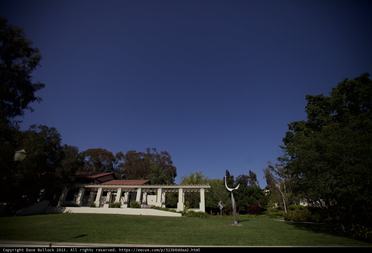 Serene Lawn at UC San Diego