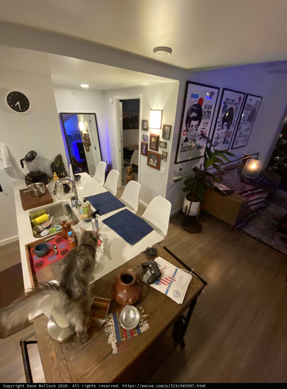Feline Home Décor