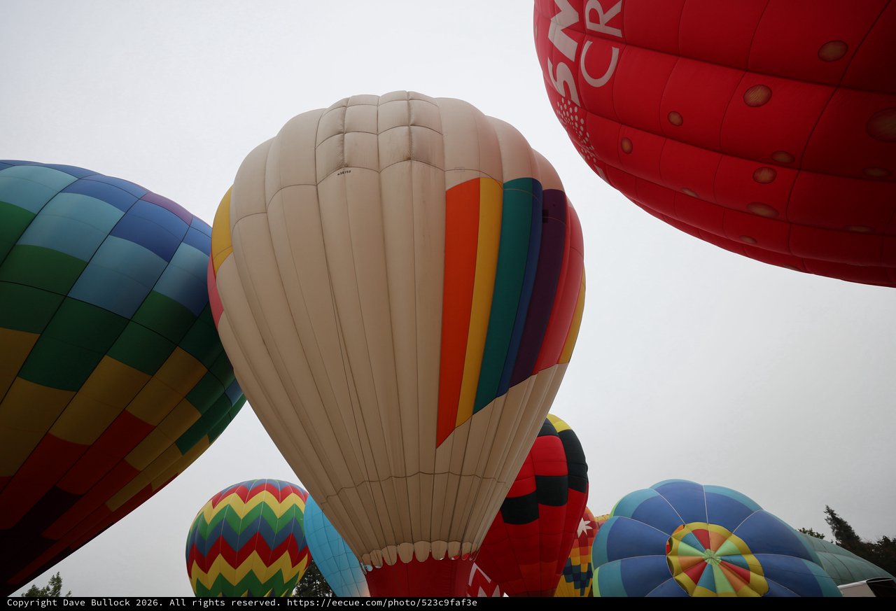 Sky Full of Giants: Hot Air Balloon Festival Worm's Eye