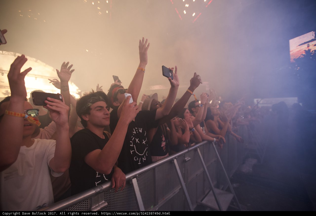 2017 Coachella Crowd Goes Wild
