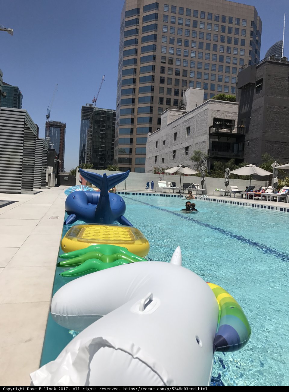 Whale of a Time at the Urban Resort Pool