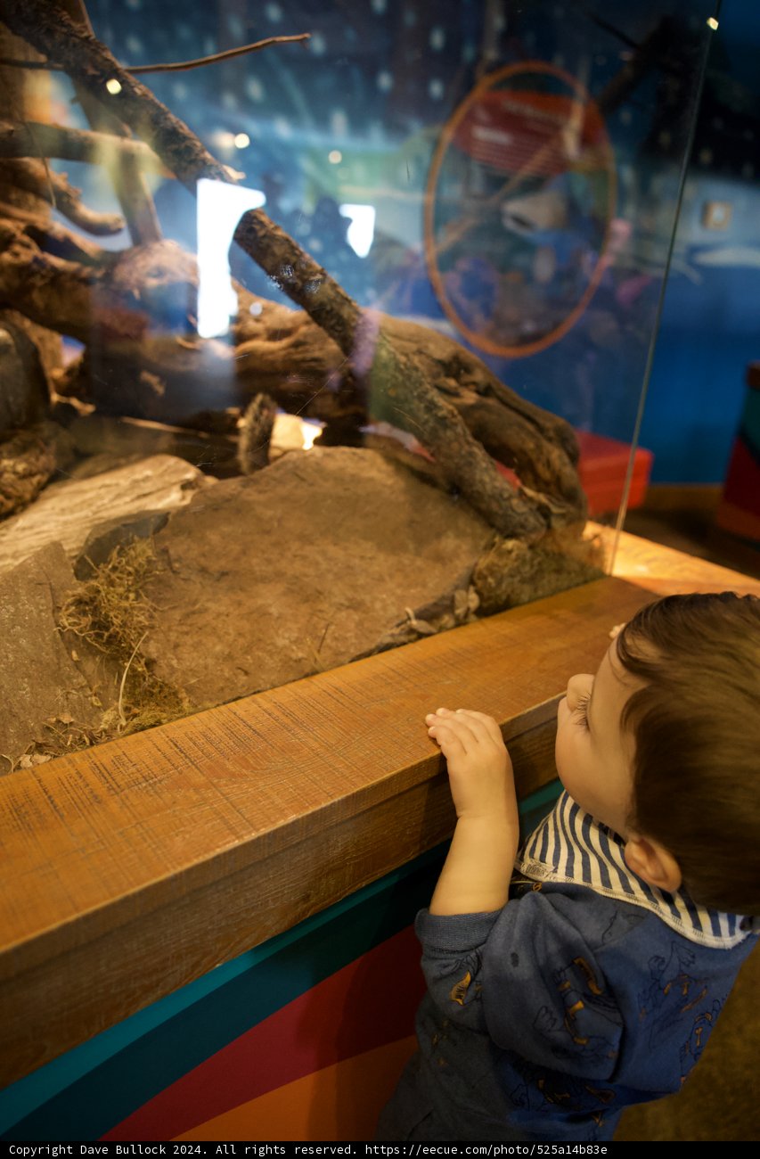 Intrigued By The Aquatic Life