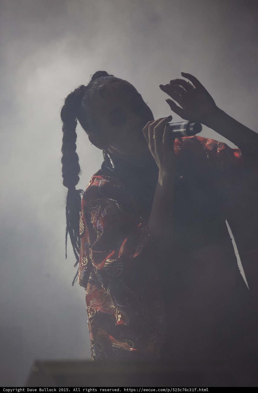 FKA twigs Moody Silhouette Profile Arm Raised Expressive Hand Red Brocade Kimono Gold Chinese Patterns Braided Ponytails Frayed Ends Heavy Haze