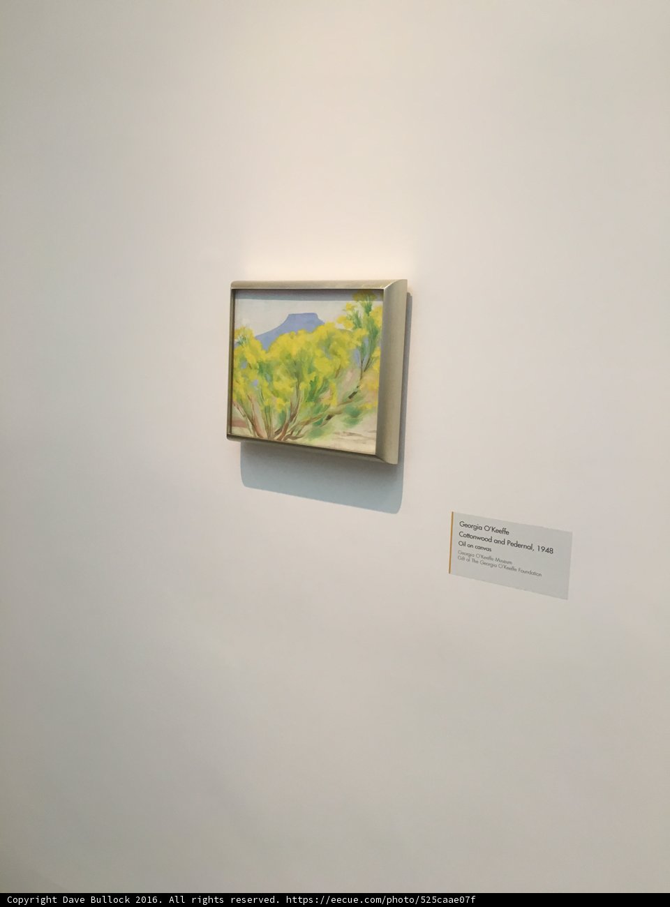 Modern Painting in Georgia O'Keeffe Art Gallery