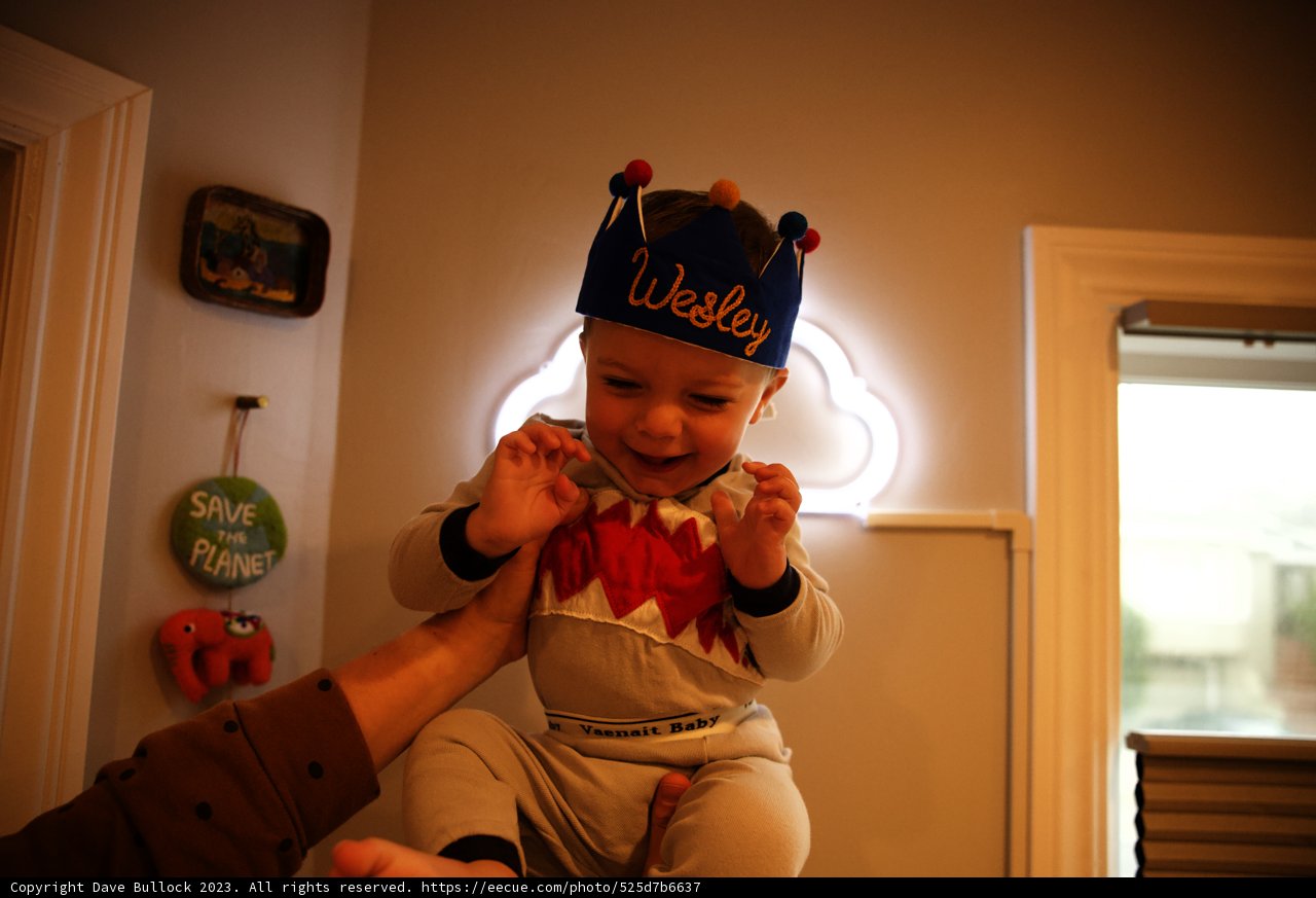 Royal Celebration for Wesley's First Birthday