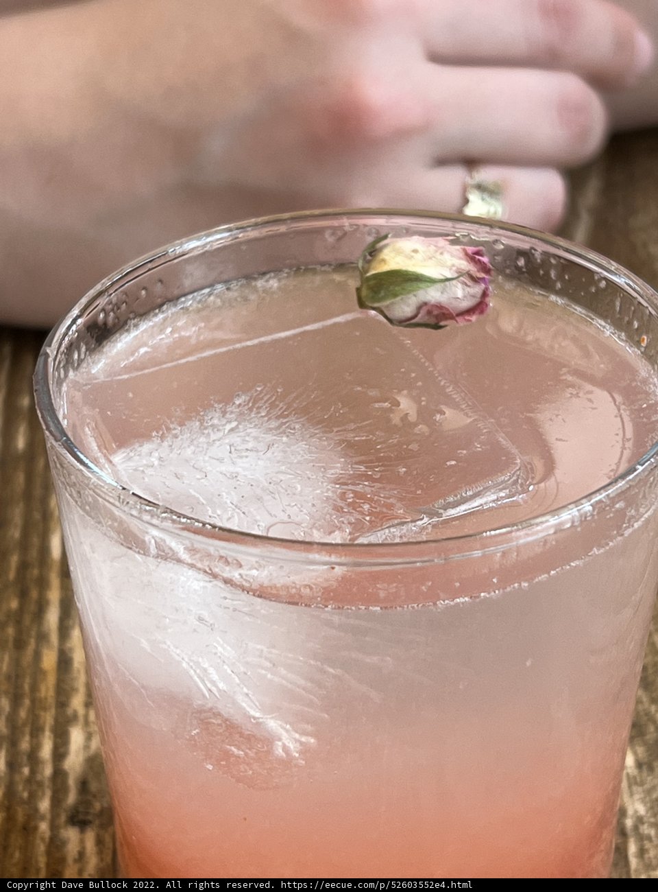 Rose Lemonade Cocktail