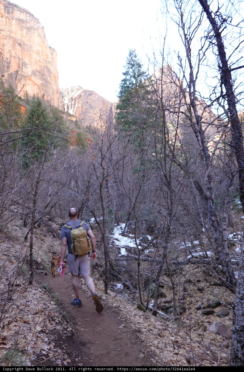 Trekking through the wilderness