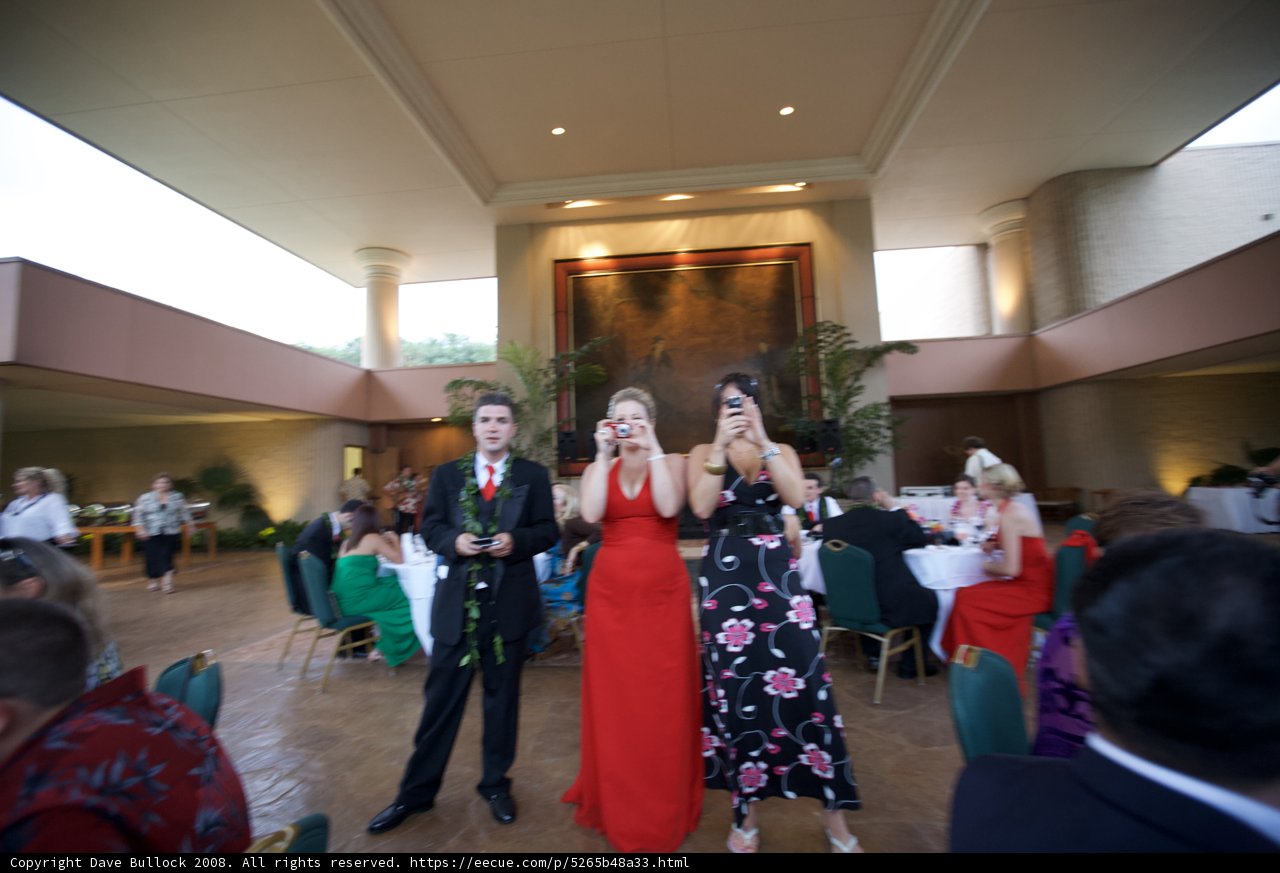 Formal Attire at Wedding Reception