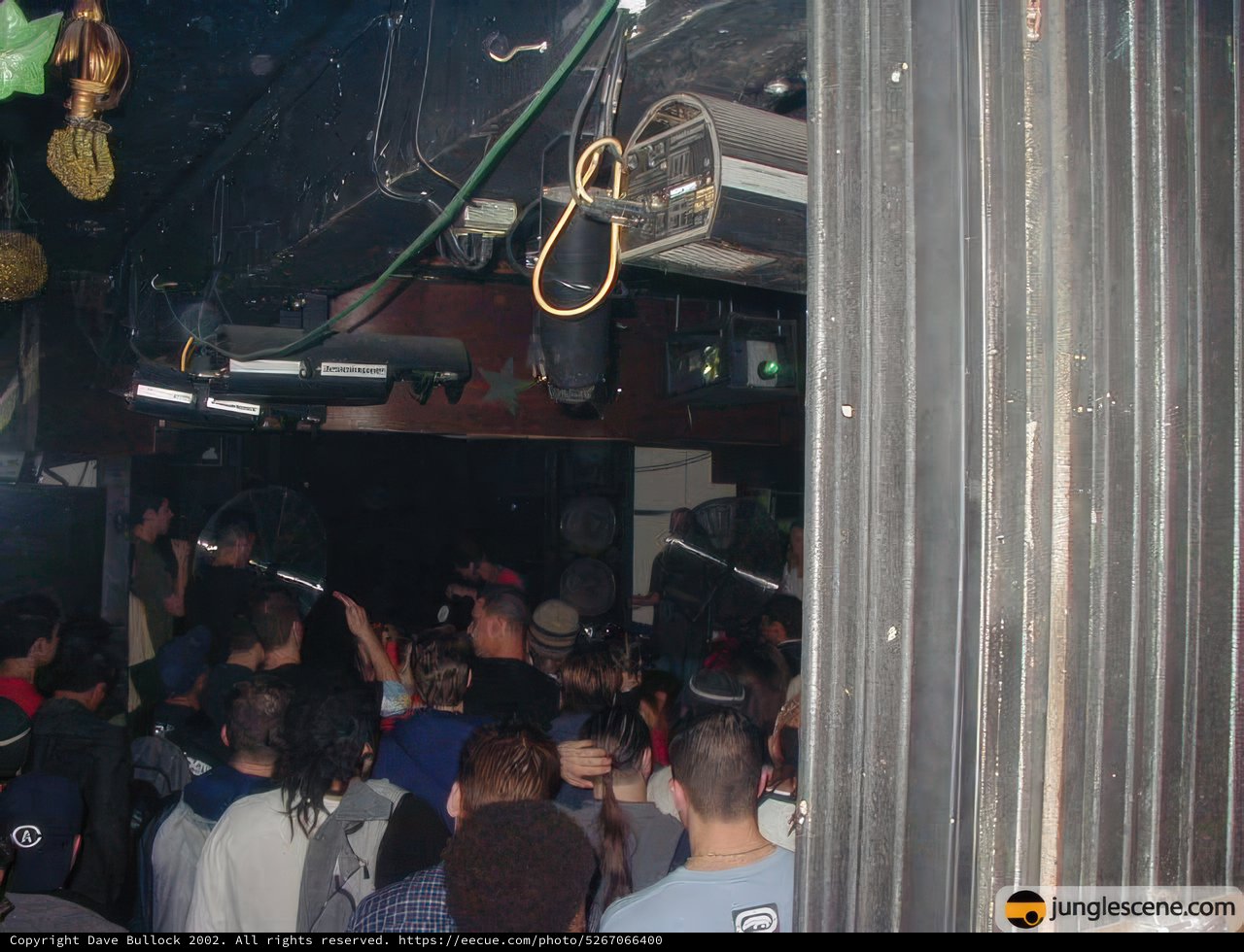 Nightclub Revelry