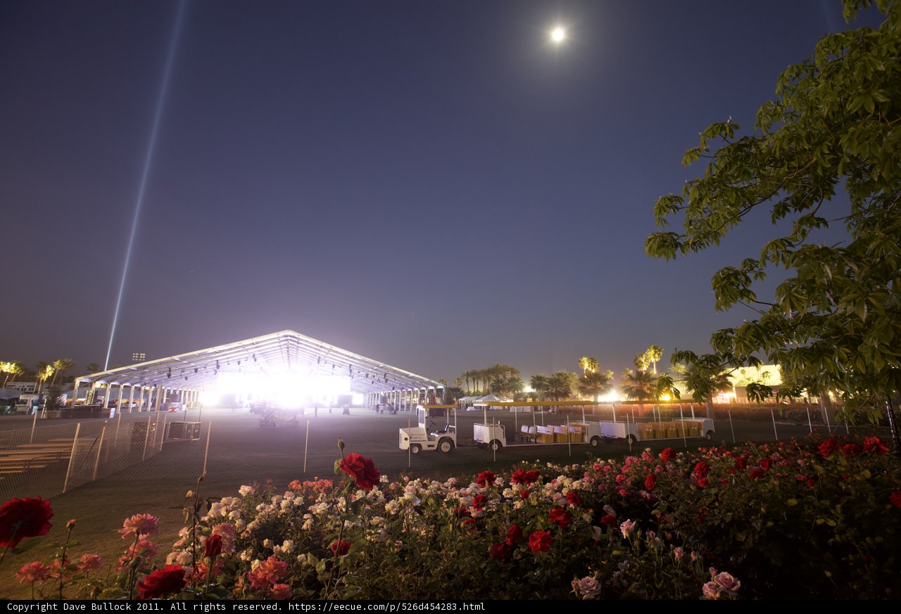 Moonlit Garden with Urban Metropolis in the Background