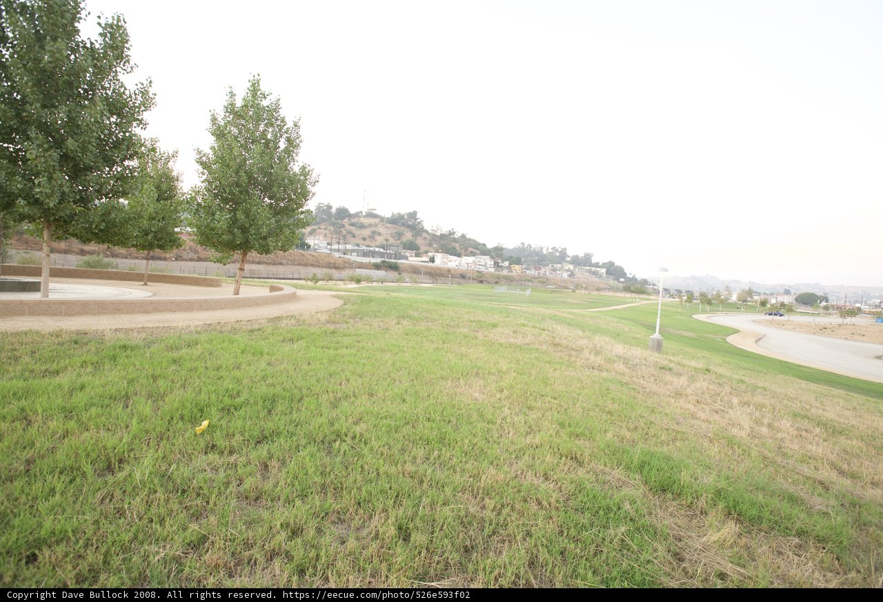 Serene Bench in the Grassy Field