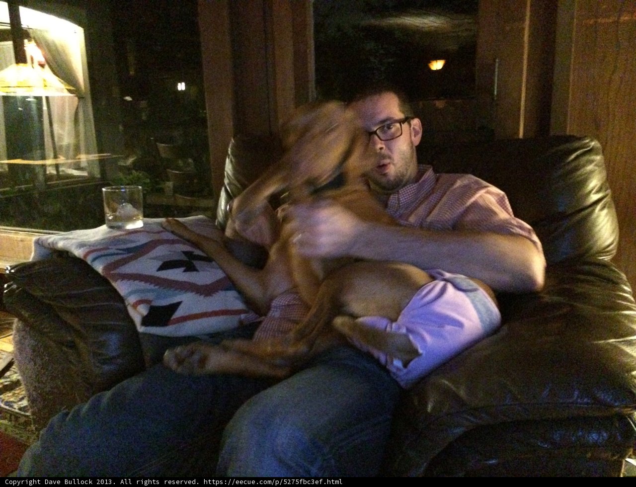 Man's Best Friend