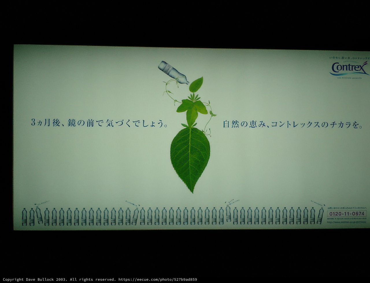 Herbal Leaf Plant Advertisement