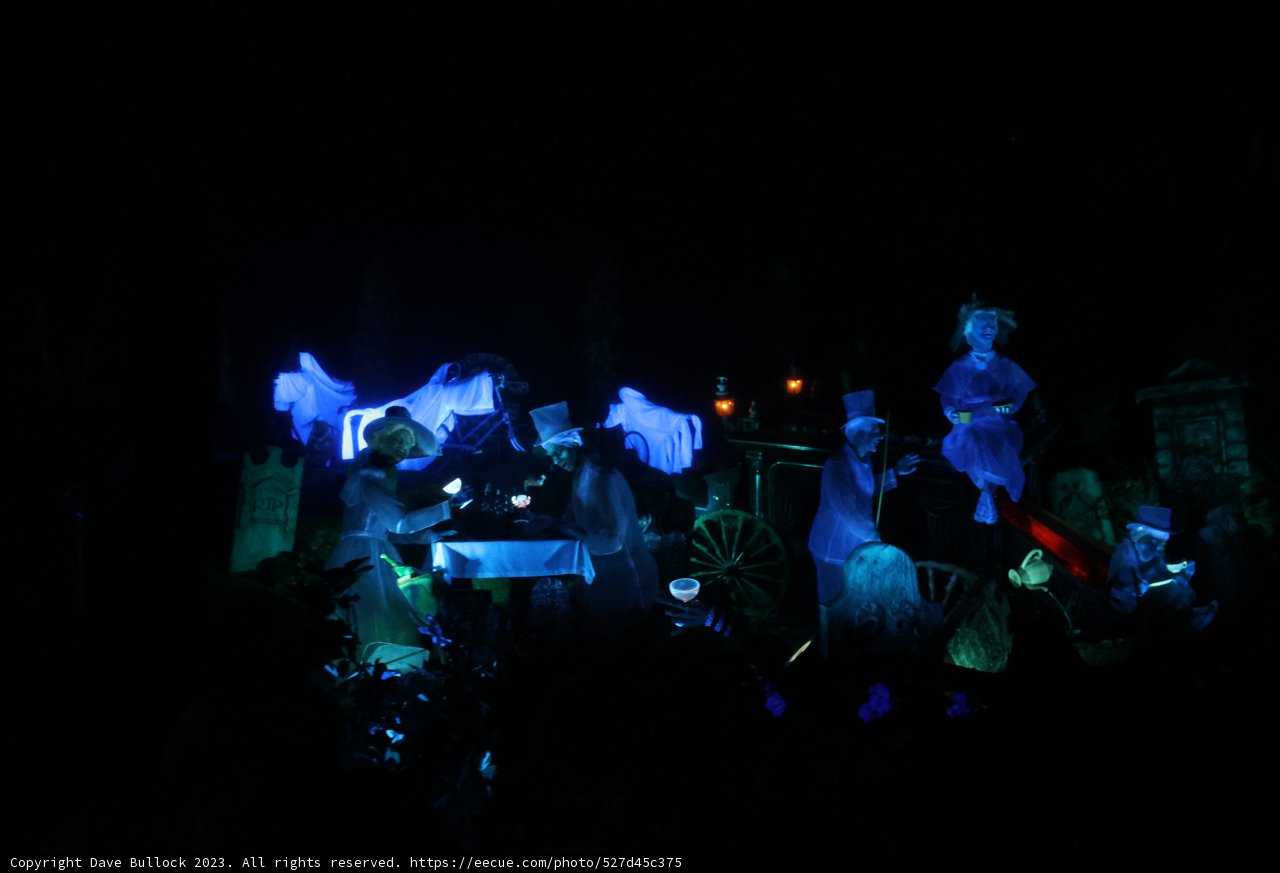 Nightlife Concert Fever
